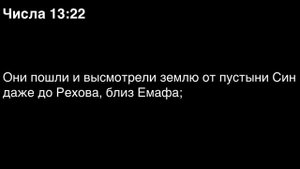 Числа, глава 13