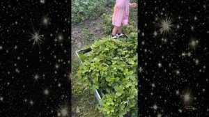 Наталья Фриске с дочкой Луняшей провели ревизию у бабули в огороде