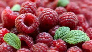 5 важных вопросов о выращивании малины - советы для богатого урожая