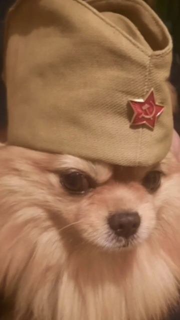 23 февраля ⭐ смотреть онлайн