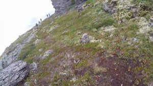 Пупы 2015 Опупевший заяц