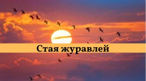 Стая журавлей. Исполняет Вадим Наместников. #музыка #песня #любовь #молодость #юность