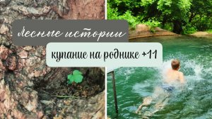 АКТИВНАЯ ПРОГУЛКА ПО ЛЕСУ НА ЮГЕ И КУПАНИЕ В БОЧКЕ, ЩЕЛОКОВ РОДНИК