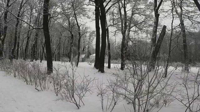 Ясная Поляна смотреть онлайн