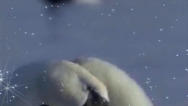 Свадьба в Салавате.Клип на прогулке. смотреть онлайн