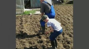 Всем садоводам и огородникам да пребудет с вами сила