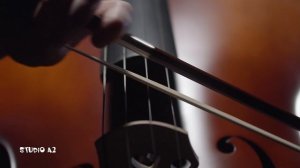 Живая струна