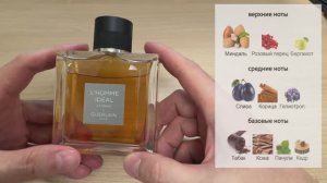 Обзор L'Homme Idéal Extrême Guerlain. Очень красивый аромат за недорого! Парфюмер Тьерри Вассер.