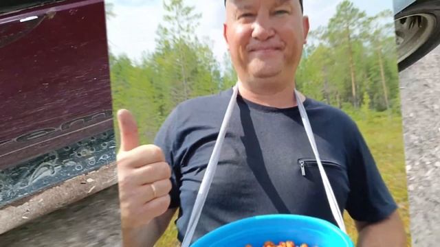 Медовая ягода, дары природы. #карелия #ягодка  #урожай #здоровье смотреть онлайн