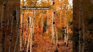 Тест: Узнай, о чем говорит твое состояние_