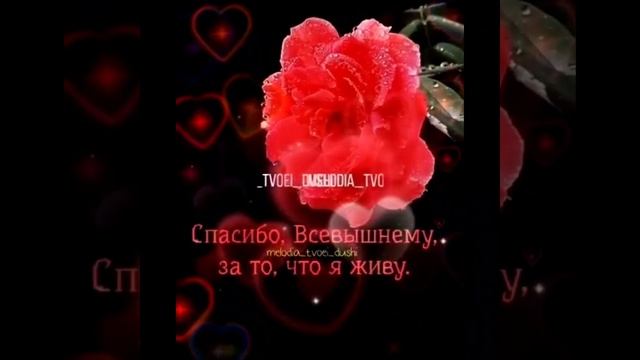 Репи. дилошуб .2023. смотреть онлайн