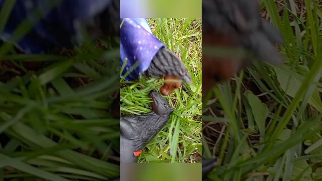 сериал колдунья 6 серия смотреть онлайн