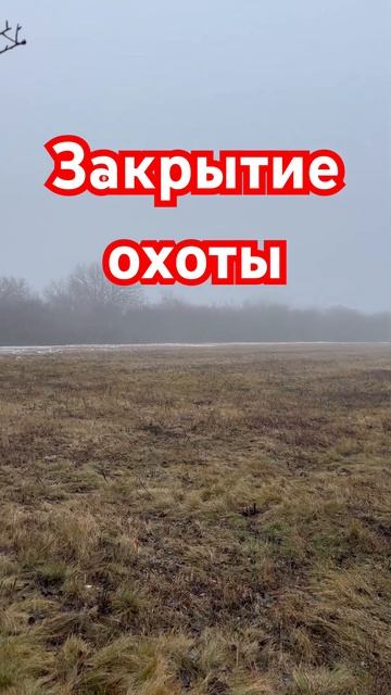 #январь #2025 #закрытиесезона #охота #на #улица #туман #shortvideo