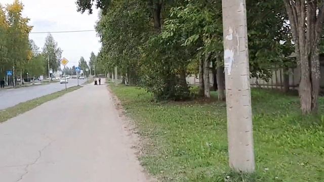 ПРИРОДА ,РАБОТА И МУЖИК В ТРУСАХ . смотреть онлайн