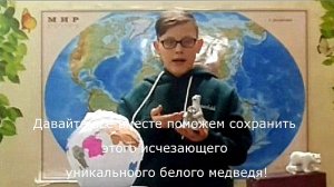 Мы можем вместе спасти исчезающих белых медведей