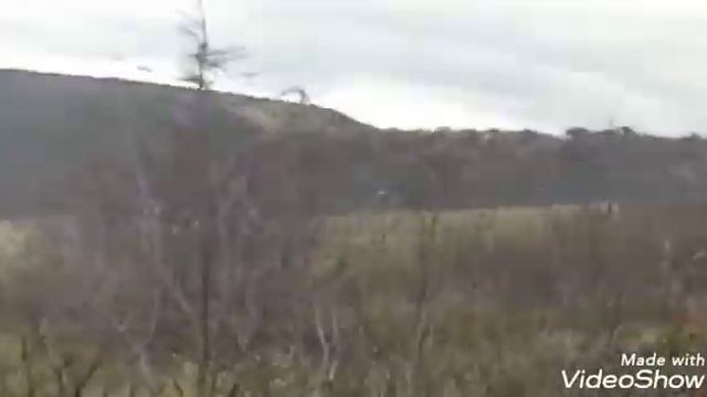 Работа вах той остов Итуруп бухта осенняя ролик 131 смотреть онлайн