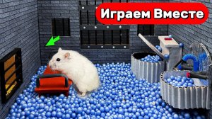 Умный Хомяк сбегает из СЕКРЕТНОЙ ТЮРЬМЫ для ГЕНИЕВ с ЛОВУШКАМИ 🐹 Видео для детей