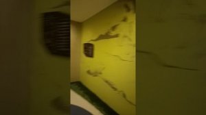 в гостях у БОБРА 🤩