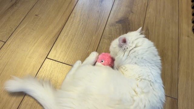 Vlog: платья из lime 🍋🟩| любимые макси для лица | шопинг смотреть онлайн