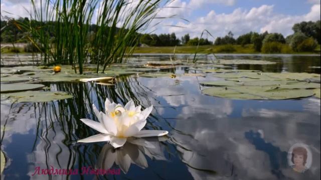 Да здравствует весна!