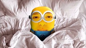 Новое интро шарфа(dangerlyoha) на твиче