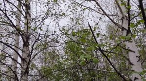 Вода ни как не уходит