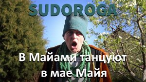 SUDOROGA - В Майами танцуют в мае Майя