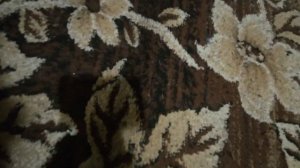 ПОМОГИТЕ!!! МОЛЬ ХАВАЕТ МОИ ВАЛЕНКИ И КОВРЫ!!!! (ЖИЗНЬ НА