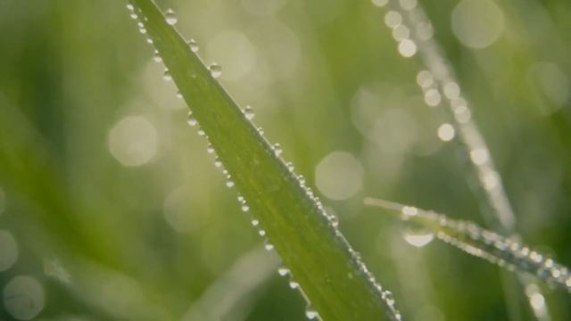 Какие туфли? В старых походишь, маме в санаторий нужно. смотреть онлайн