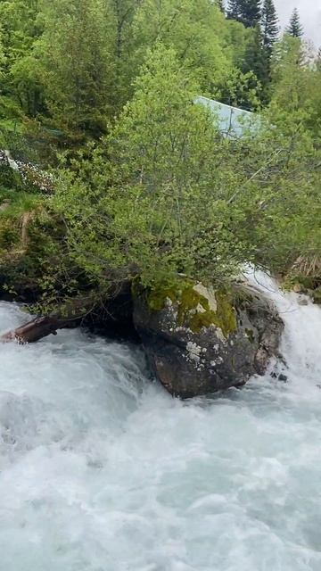 Горная река. Теберда-Домбай. 10.06.2023 смотреть онлайн