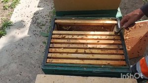 Много мисок в узбечке, решил осмотреть .