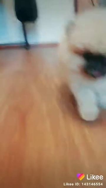 2 августа 2019 г. смотреть онлайн