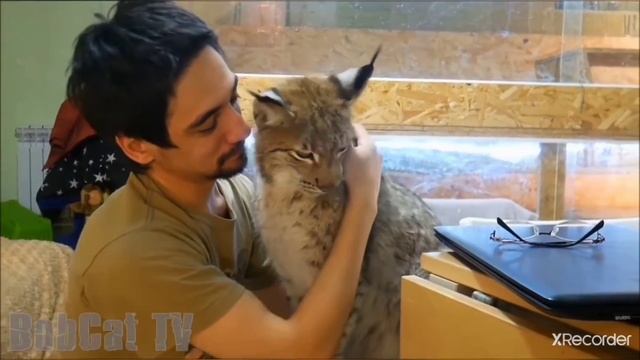 АРСЛАН ВАЛЕЕВ. ВЕЧНАЯ ПАМЯТЬ. смотреть онлайн