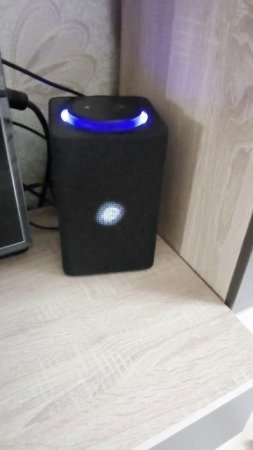 охота на сову по француски
