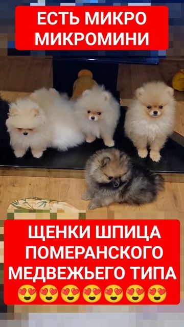 19 ноября 2023 г. смотреть онлайн