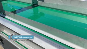 Транспортер инспекционный трехручьевой / ООО "Кубаньпищепром"