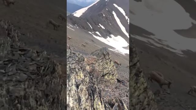 Докузпаринский район «Село Куруш» смотреть онлайн