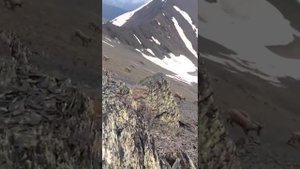 Докузпаринский район «Село Куруш»