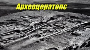 Археоцератопс