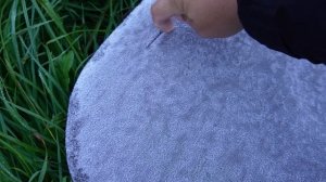 АВАНТЮРНАЯ РЫБАЛКА ОСЕНЬЮ В ЗАМОРОЗКИ. Один с ночевкой в шикарной заводи Генезиса