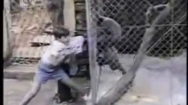 НАРЕЗКА РЖАЧНЫХ ПРИКОЛОВ!!!!!!!!!!!!!!!!!!!!!!!!!!!!!! смотреть онлайн