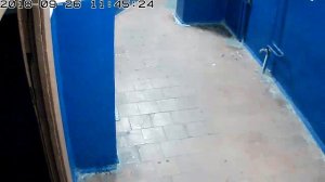 Та, чья собака ссыт в подъезде