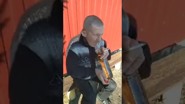 Юра шуба в прямом эфире! смотреть онлайн