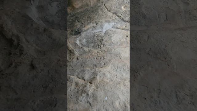 Крым Палео Скалистое Бакла Пещерка