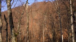 Скеля Карстовий Міст біля Малої Угольки - похід через Карпатські праліси