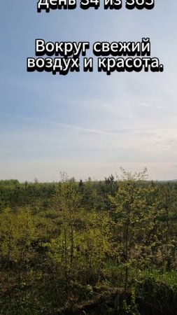 День 34 из 365