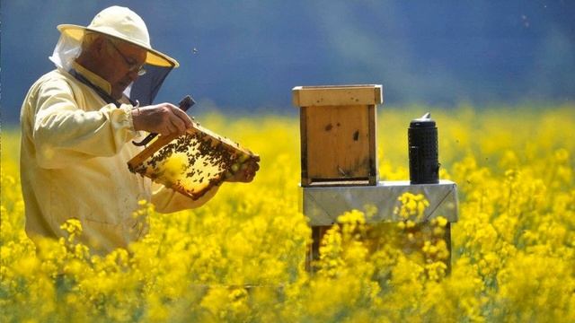 Медовый спас смотреть онлайн