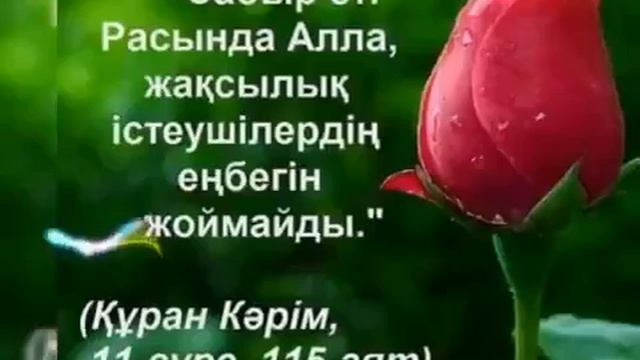 Алла үшін ризамыз2