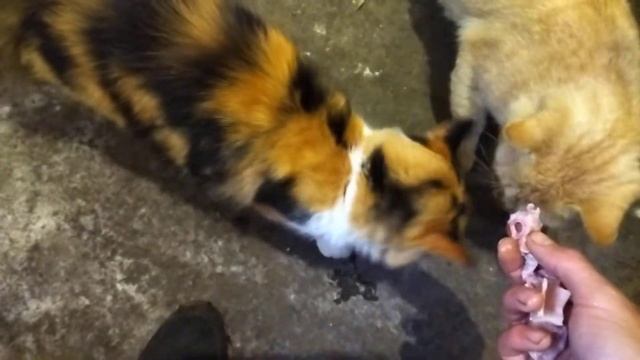 Одна радость в дождливую погоду смотреть онлайн