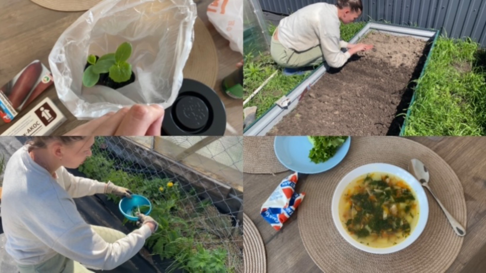 ЗАГОРОДНАЯ ЖИЗНЬ! КУПИЛА РАССАДУ ОГУРЦОВ// ПОСАДИЛА СВЕКЛУ// ВКУСНЫЙ СУП ИЗ КРАПИВЫ🔥 смотреть онлайн